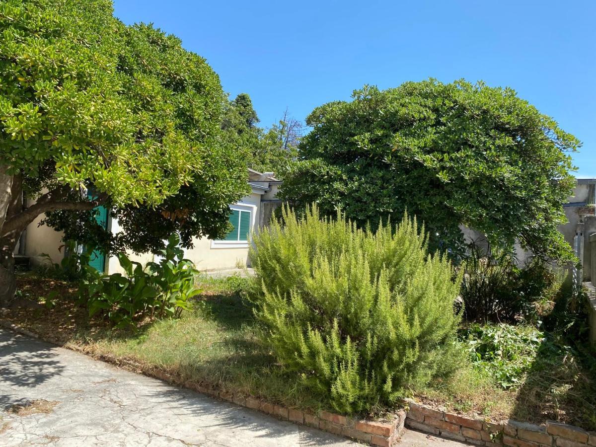 Ferienwohnung Zadar-City Bagian luar foto