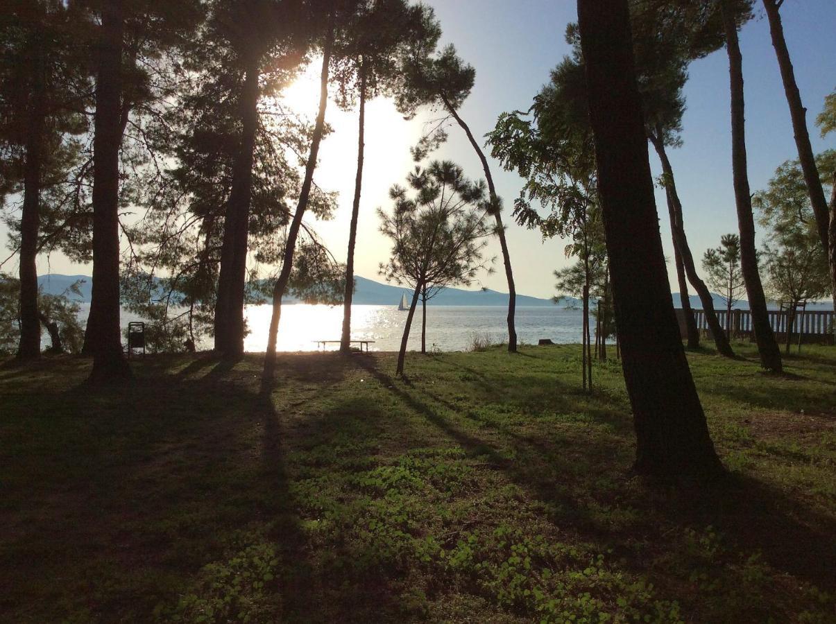 Ferienwohnung Zadar-City Bagian luar foto